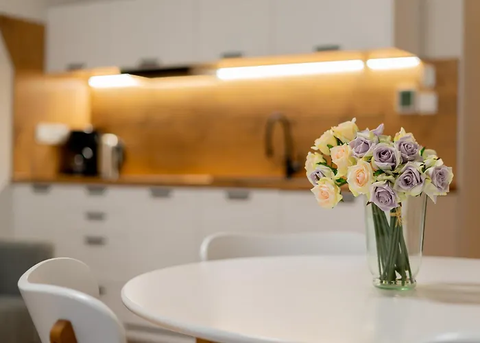 Flora - Z Aneksem I Klimatyzacja, Basen Netflix