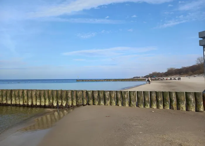 Flora - Z Aneksem I Klimatyzacja, Basen Netflix